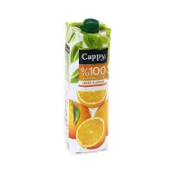Cappy (%100) Meyve Suyu